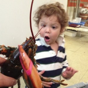 Our lobster specials are great but don't ask Blake.